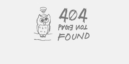 404图片